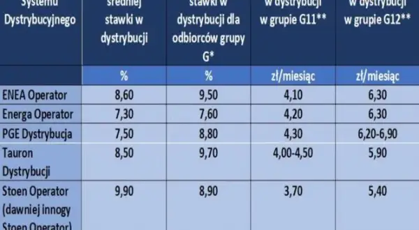 Cena 1 kWh prądu w Polsce: Ile płacisz i jak obniżyć rachunki?