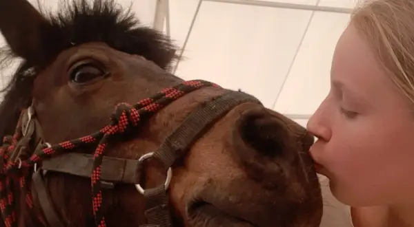 Dziewczynka całuje konia w pysk. To urocze horse play, pełne czułości i radości.