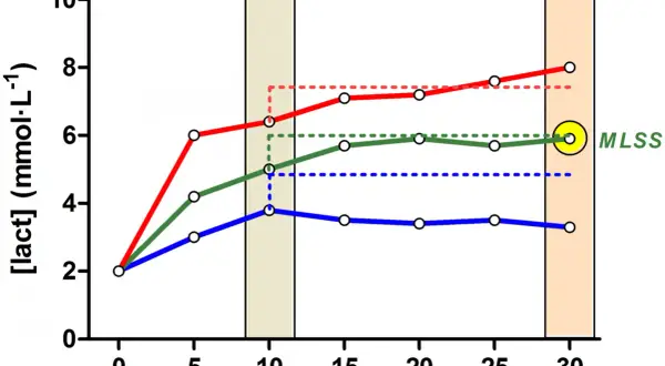 Grafico mostra la frequenza cardiaca durante la corsa a diverse potenze (260, 275, 290 W), con indicazione del MLSS.