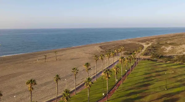 Paseo marítimo con palmeras y césped verde en Almería, junto a una playa de arena y el mar azul.