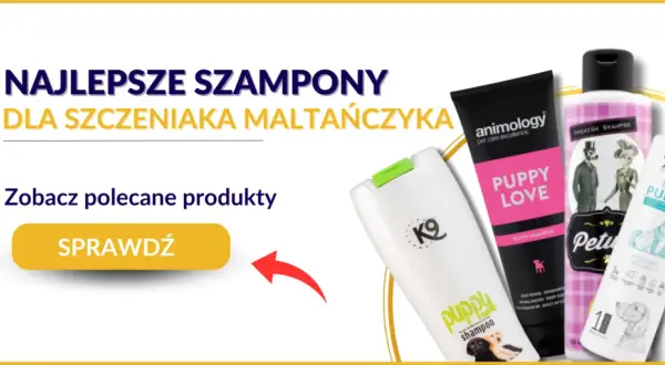 Szampon dla szczeniaka: Sekrety bezpiecznej pielęgnacji malucha