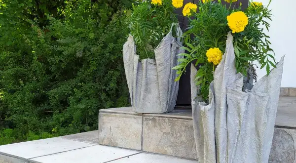 Doniczki DIY: Beton czy cement? Sekrety trwałych i pięknych form