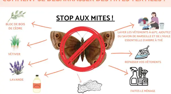Stop aux mites textiles ! Découvrez des remèdes de grand-mère : bois de cèdre, vétiver, lavande, vinaigre blanc, lavage à 60°C, repassage, ménage et pièges.