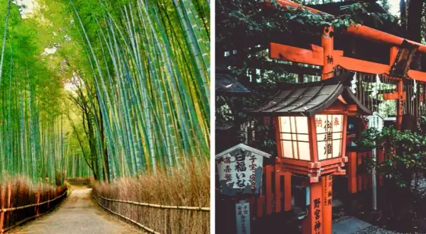Japonia: Co zobaczyć? Przewodnik po najpiękniejszych miejscach