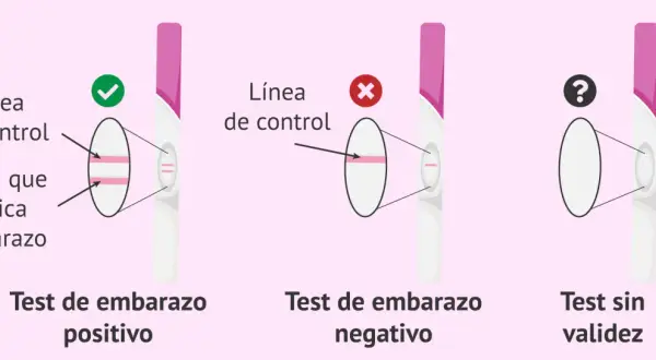 Test de embarazo positivo: dos líneas. Negativo: una línea. Sin validez: ninguna línea. La diferencia entre regla y embarazo se ve en estas pruebas.