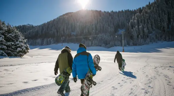 Trzech snowboardzistów idzie przez ośnieżony stok. Słońce świeci jasno, a las pokryty śniegiem w tle sugeruje, że to idealne miejsce, by wybrać **jaki snowboard na początek**.