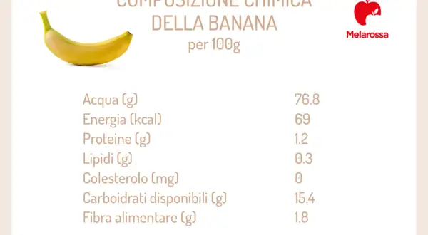 Composizione chimica della banana per 100g: 69 kcal. La banana è un frutto ricco di carboidrati e acqua.