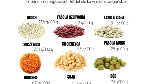 Białko roślinne gdzie najwięcej – odkryj najlepsze źródła białka