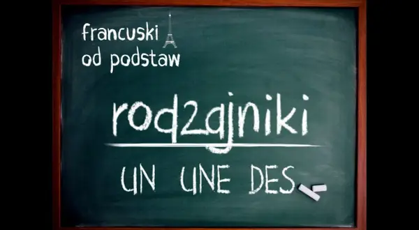 Rodzajniki określone i nieokreślone francuski - kluczowe różnice i zasady
