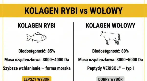 Porównanie kolagenu rybiego i wołowego. Kolagen rybi ma wyższą biodostępność (85%) i szybsze wchłanianie, co czyni go lepszym wyborem.
