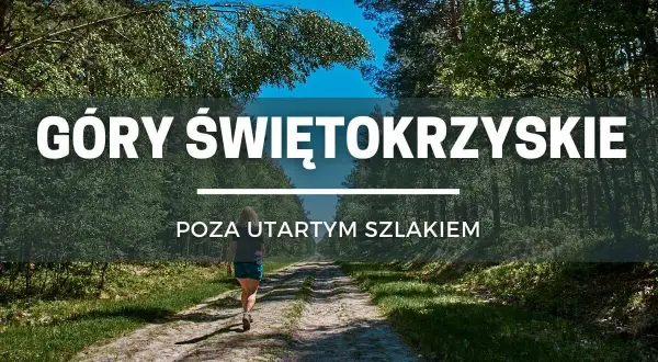Kobieta idzie leśną ścieżką w Górach Świętokrzyskich. Odkryj nieznane szlaki!
