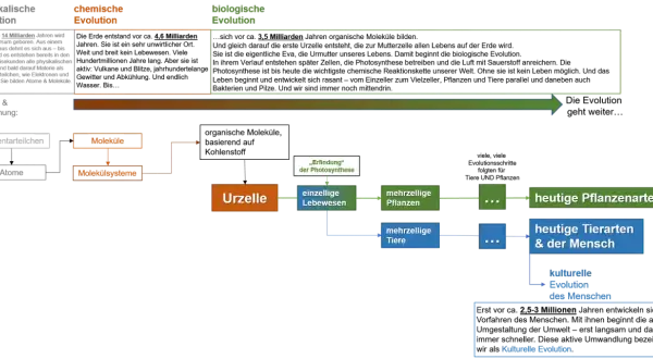 Schema der Evolution: Von Elementarteilchen über Moleküle und Urzellen zur biologischen Evolution mit Pflanzen, Tieren und dem Menschen.