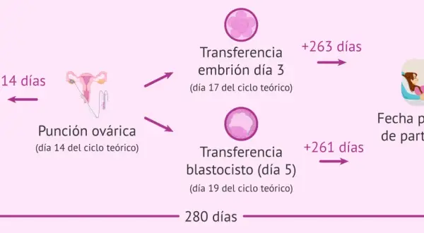 Diagrama que ilustra el cálculo de la fecha probable de parto (FPP) usando la regla de Naegele, partiendo de la FUR teórica y los días del ciclo.