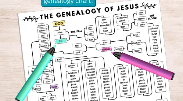Arbre généalogique de Jésus, de l'origine de la création à sa naissance. Des marqueurs colorés surlignent des noms clés.