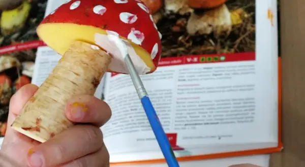 Jak zrobić grzyba ze styropianu - proste kroki do pięknej dekoracji