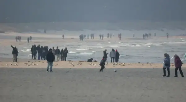 Ludzie spacerują po plaży, ciesząc się chłodnym klimatem. W oddali widać morze i mewy.