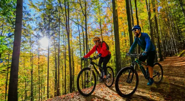 Para rowerzystów cieszy jesienne słońce na mikołajki trasach rowerowych w lesie.