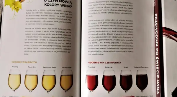 Kolor jak wino: odkryj tajemnice odcieni i ich znaczenie