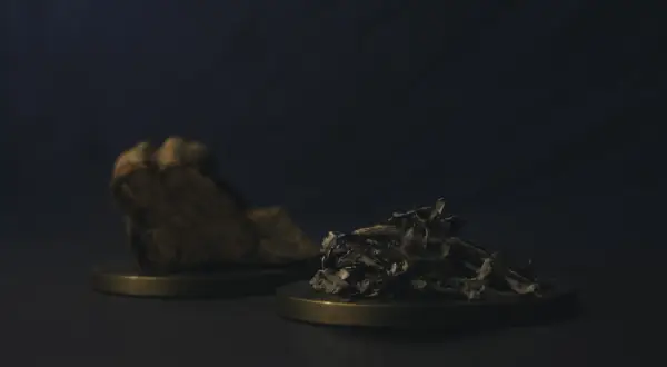 Kawałek kory i garść liści, być może składniki do rytuału z changa dmt.