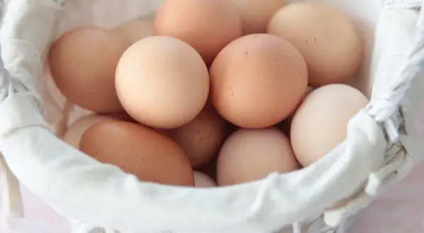 Ile jaj znosi kura rocznie? - Co warto wiedzieć o produkcji jajek w gospodarstwie