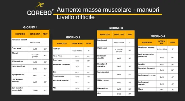 Scheda allenamento trazioni massa: programma di 4 giorni per aumento massa muscolare con manubri, livello difficile.