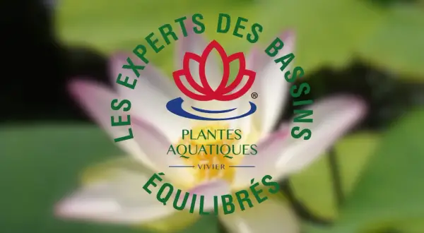 Logo "Les Experts des Bassins" avec une fleur de lotus et le texte "Plantes Aquatiques Équilibrées", évoquant l'aquaculture plante.