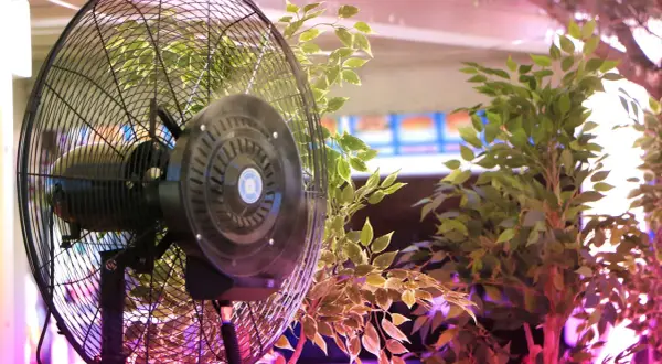Ventola per grow box che muove l'aria tra le foglie verdi di una pianta, creando un ambiente ideale per la crescita.