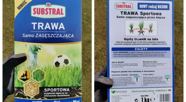 Substral Trawa Sportowa: jaka trawa na trawnik? Samo zagęszczająca, odporna na deptanie, idealna do intensywnego użytkowania.