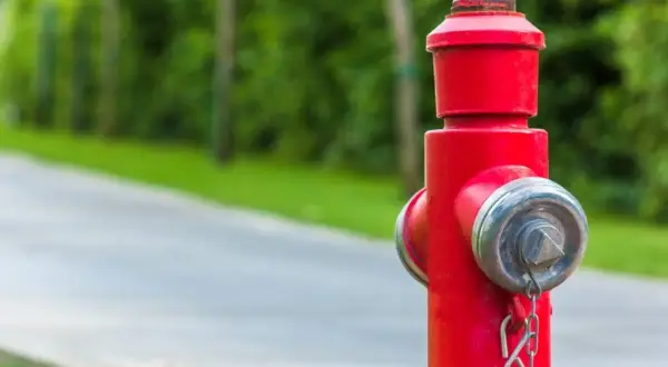 Czerwony hydrant przeciwpożarowy z metalowymi elementami na tle zieleni i drogi.
