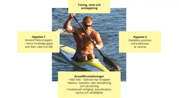 Man padlar kajak med fokus på timing, rytm och avslappning. Hela kroppen används, särskilt stora muskelgrupper.