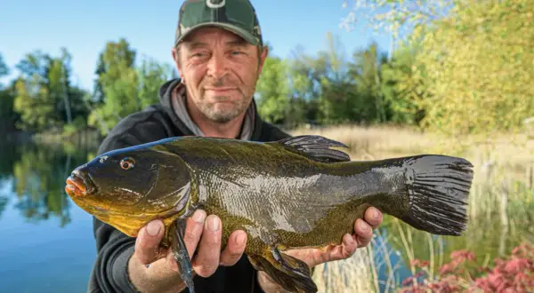 Glücklicher Angler präsentiert stolz seinen Fang: einen stattlichen Fisch, der beim Maifisch angeln an Land gezogen wurde.