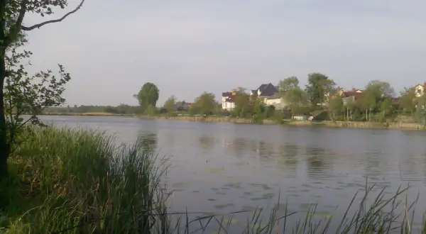 Spokojne jezioro wilanowskie z domami na brzegu i zielenią.