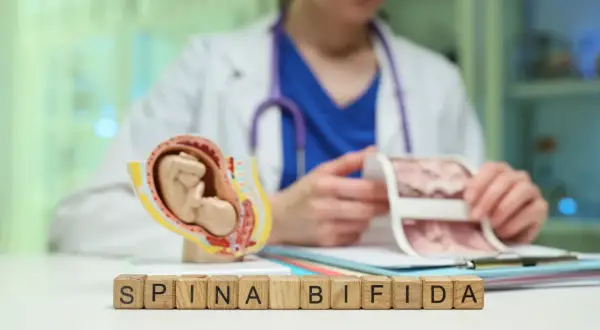 Model płodu i klocki z napisem SPINA BIFIDA. Lekarz analizuje wyniki badań prenatalnych, pokazując potencjalne ryzyko rozszczepu kręgosłupa.