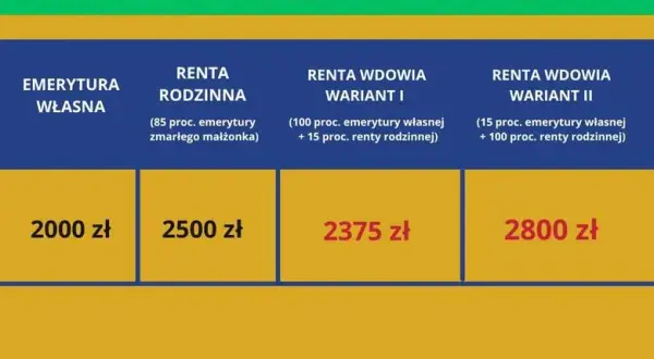 Ile wynosi renta po mężu? Sprawdź, jak obliczyć wysokość świadczenia