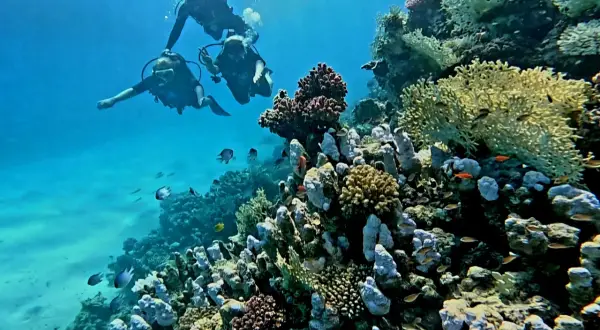 Marsa Alam: Podwodny raj i pustynne przygody. Planuj wakacje!