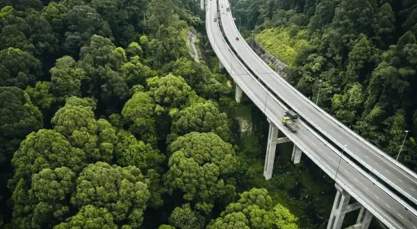 Droga wijąca się przez gęsty las, z ciężarówką symbolizującą pkd transport drogowy.