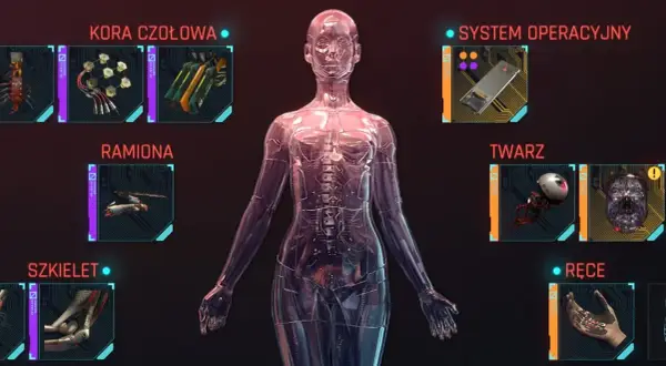 Przezroczysta, mechaniczna dziewczyna cyberpunk z widocznymi częściami: kora czołowa, ramiona, szkielet, twarz i ręce.