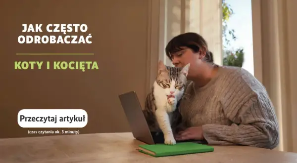 Kiedy odrobaczać koty? Kluczowe informacje dla zdrowia pupila