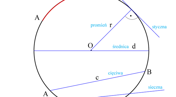 Ilustracja geometryczna z okręgiem, promieniem, średnicą, łukiem, cięciwą, sieczną i styczną.