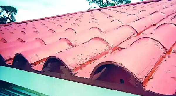 Tejas de terracota rojas y curvas bajo un cielo azul con árboles al fondo.
