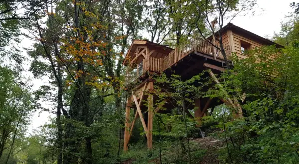 Une magnifique cabane perchée dans les arbres, au cœur d'une forêt jurassienne aux couleurs d'automne.