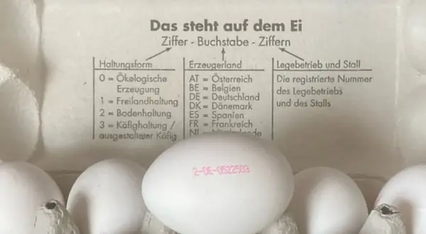Eierstempel Bedeutung: Die Zahl 2 steht für Bodenhaltung, DE für Deutschland. Der Stempel erklärt die Herkunft und Haltungsform von Eiern.
