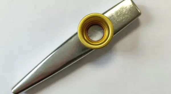 Metalowe kazoo, proste i klasyczne. Zastanawiasz się kazoo co to? To instrument, który każdy potrafi obsłużyć!