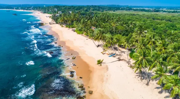 Rajska plaża na Sri Lance, z palmami i turkusową wodą. Zastanawiasz się, ile trwa lot?