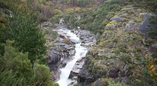 El agua desciende en cascada por la fervenza da feixa, rodeada de rocas cubiertas de musgo y vegetación frondosa.