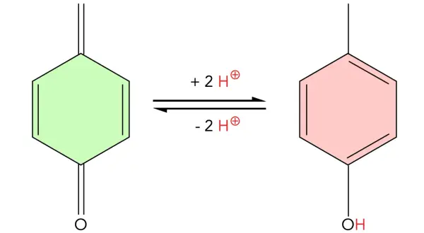Chemische Reaktion: 1,4-Benzochinon wird zu Hydrochinon. Die hydrochinon wirkung wird durch die Aufnahme von zwei Protonen und zwei Elektronen erklärt.