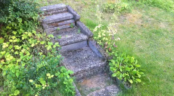 En gammal stentrappa som behöver underhåll, omgiven av frodig grönska och gräs.