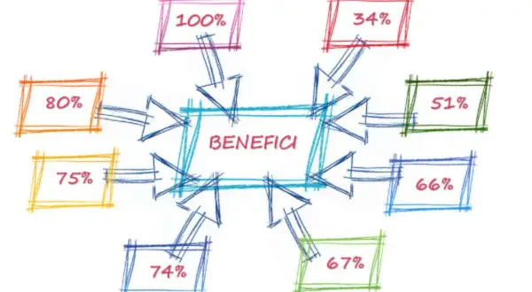 Diagramma a blocchi con "BENEFICI" al centro, circondato da percentuali (es. 74%). Utile per calcolare l'invalidità civile e l'assegno mensile.
