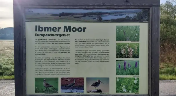 Das Ibmer Moor, ein Europaschutzgebiet, ist ein Paradies für seltene Vögel und Pflanzen. Hier brüten Brachvögel, Bekassinen und Kiebitze.