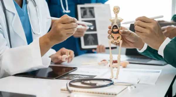 Medici discutono un modello anatomico. Un fisiatra o ortopedico spiega la postura.